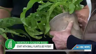 Martha Stewart shares tips for taking care of indoor plants