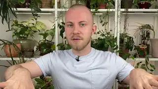 10 Tips For Beginner Indoor Gardeners