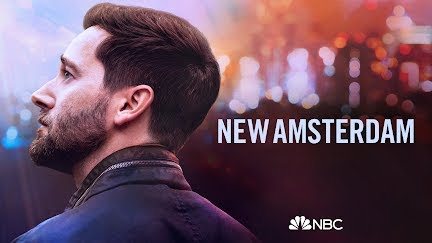 Risultati immagini per new amsterdam season 2 banner