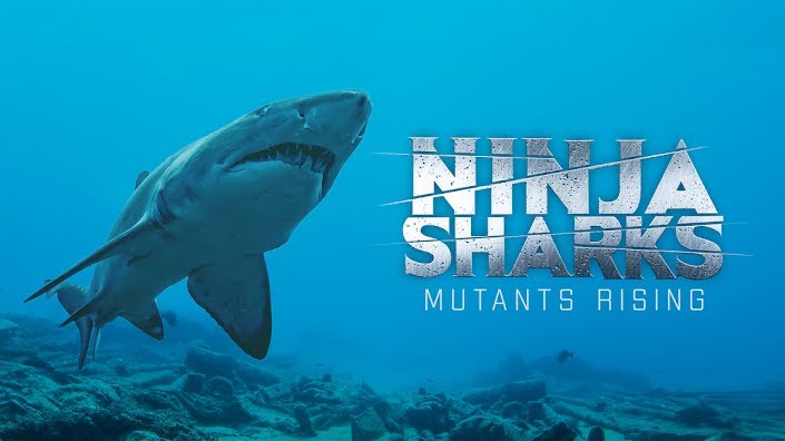 Ninja Shark 8 | Poster