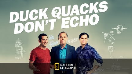 Dancing On The Ceiling Duck Quacks Don T Echo Youtube