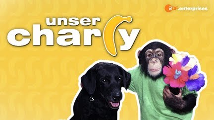 Unser Charly Season 10 Youtube