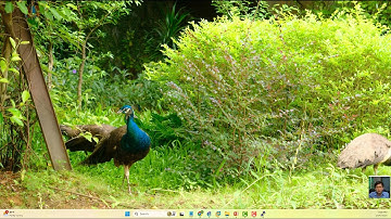 Thực hành bài 14 CCNA Athena : cấu hình ether channel - trunking vtp - spanning tree - inter vlan