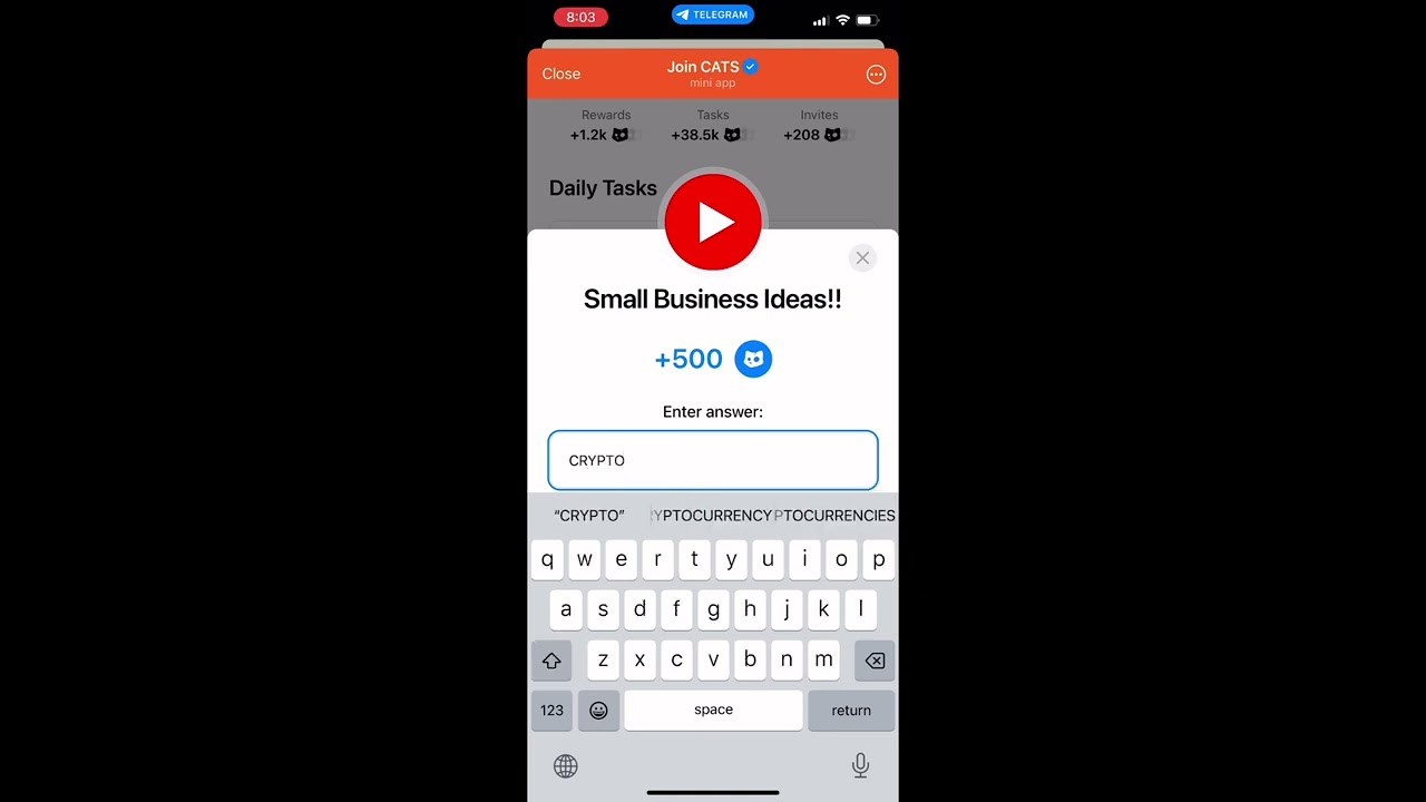 Small business ideas Cats Code 