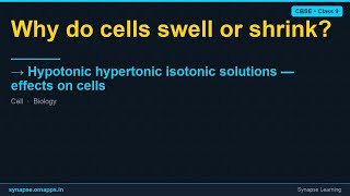 Hypotonic hypertonic isotonic solutions — effects on cells | CBSE Class 9 Biology | Synapse