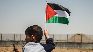 Download Lagu Atouna El Toufoule | Lagu Palestine Translate Bahasa Malaysia | Berikan Masa Kecil Kami🇵🇸🇵🇸 MP3
