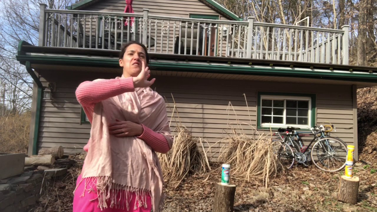 Quarantine Art Challenge Day 3: "American Collectors Fred and Marcia