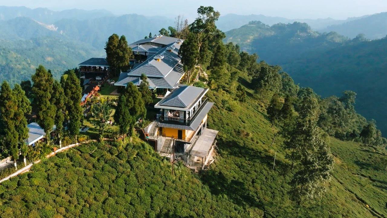 Mayfair Jungpana - Luxury Tea Estate