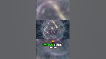 🪙Ralph Merkle: "Bitcoin is het eerste voorbeeld van een NIEUWE LEVENSVORM!" #bitcoin #blockchain ...