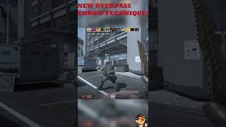 New Overpass Bug!