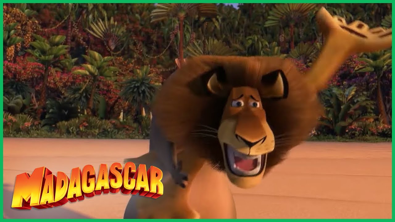 DreamWorks Madagascar em Português, Alex, Glória, Marty e Melman, o  reencontro