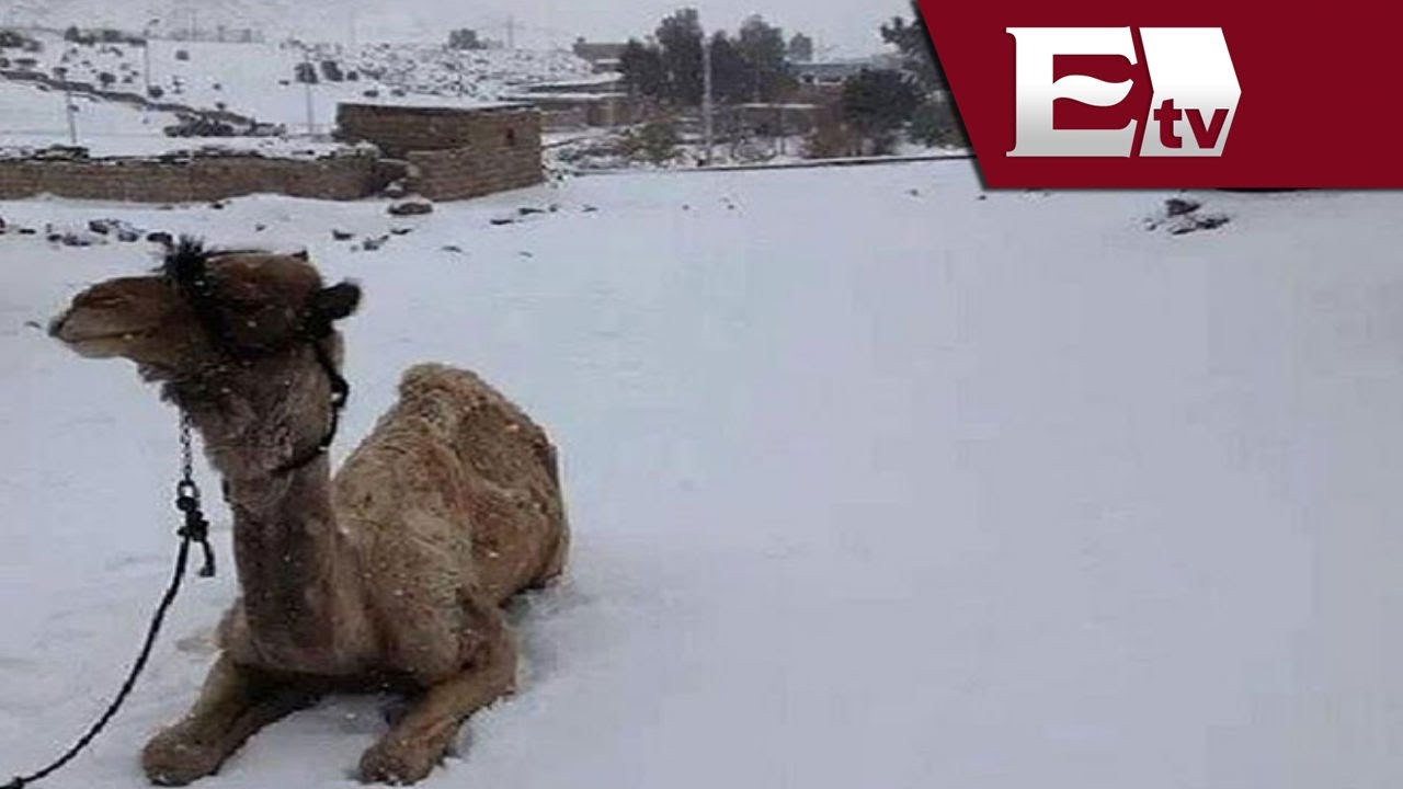 Nevadas sorprenden a Medio Oriente / Excélsior Informa con Mariana H