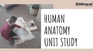 🫁 HUMAN ANATOMY Unit Study || Activities and Resources 🖨