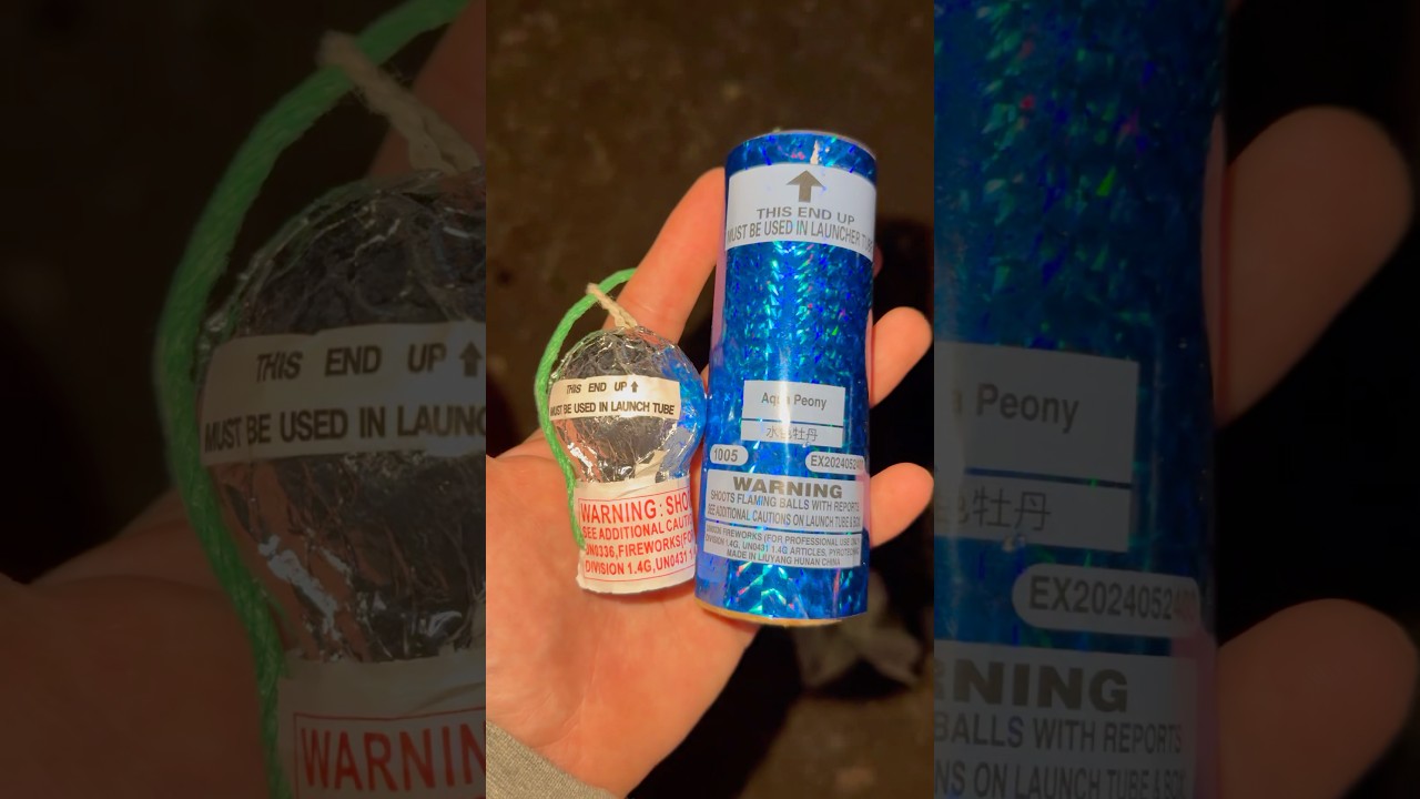 1.75” Aqua Peony VS 5” Aqua Peony 