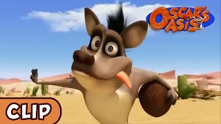 StarTimes KIDS - # Oscar's Oasis# From January 14 ,Monday to Friday,16:00  CAT 😍😍😍😍😍😍😍😍😍😍😍😍😍😍😍 The little lizard Oscar is looking for  water and food in the desert every day. His neighbors hyenas