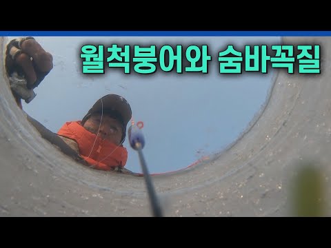 꼭꼭 숨어라~ 월척붕어 보일라~ 횡성소류지에서 만난 붕어는?? [붕어낚시 월척특급/803회]