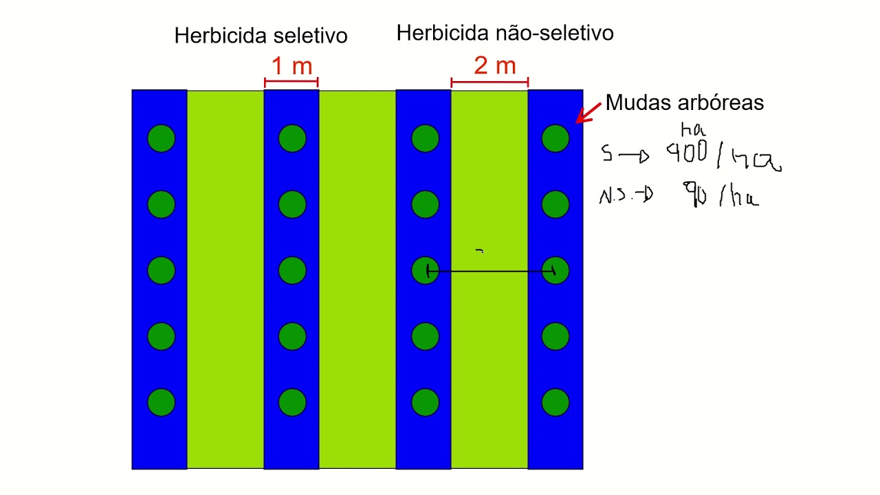 Aula 4.1 - Classificação de herbicidas