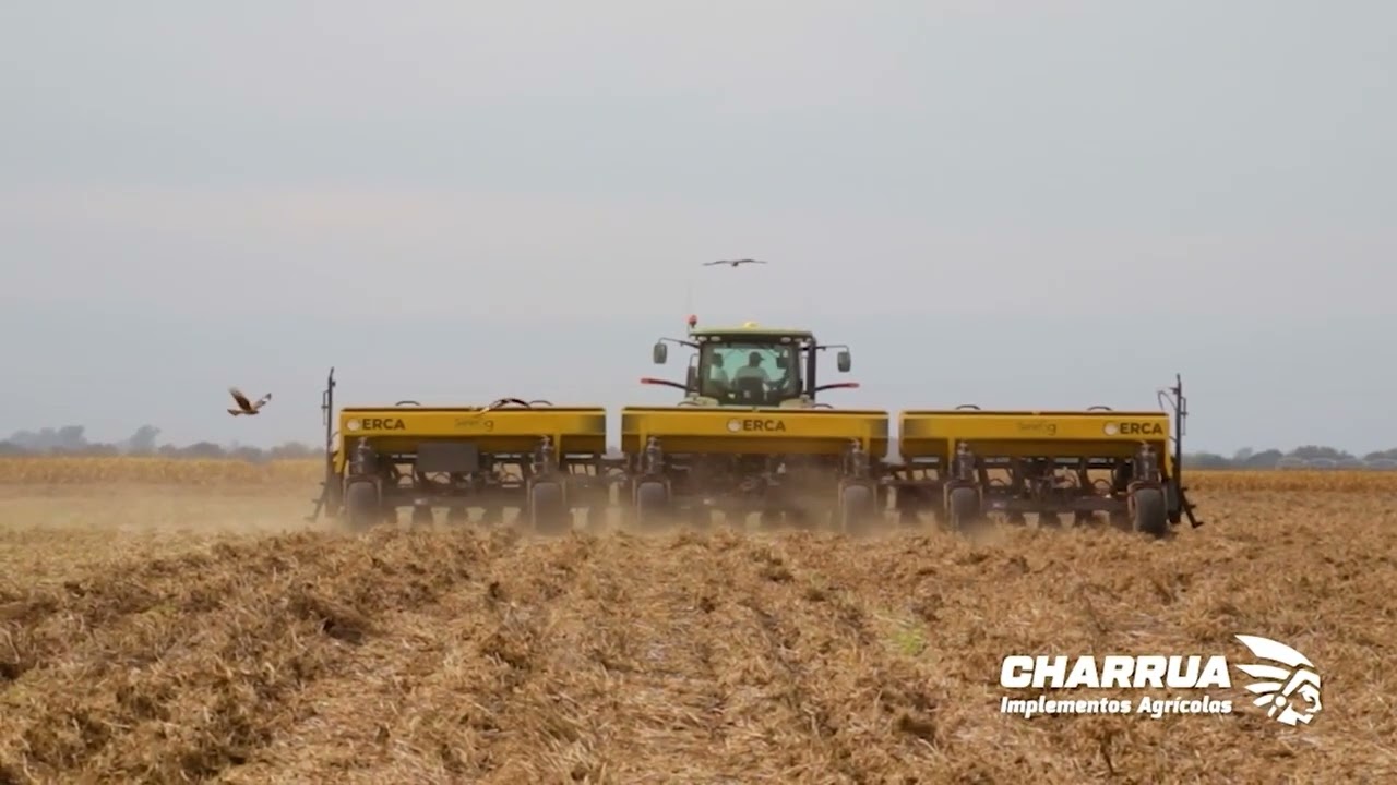 Barre rastrojos Charrua en Sembradora Erca