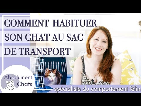 Partie En Randonnee Avec Votre Chat Conseils Pour Une Aventure En Toute Securite Blog Tractive