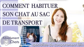 Comment Habituer Son Chat Au Sac De Transport Youtube
