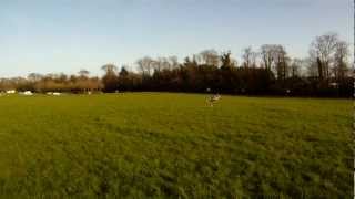 BlueSkyRC: Micro Quad