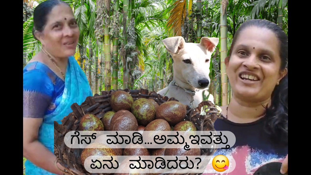 Our little daily life vlog 🥰 #kannada  #villagelife #farmingvlog #tulunadu #recipe #cooking #nature