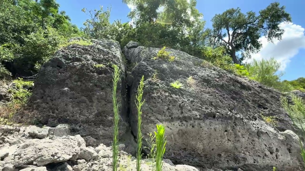 Cedar hollow trail. Lake Georgetown Texas nature hike