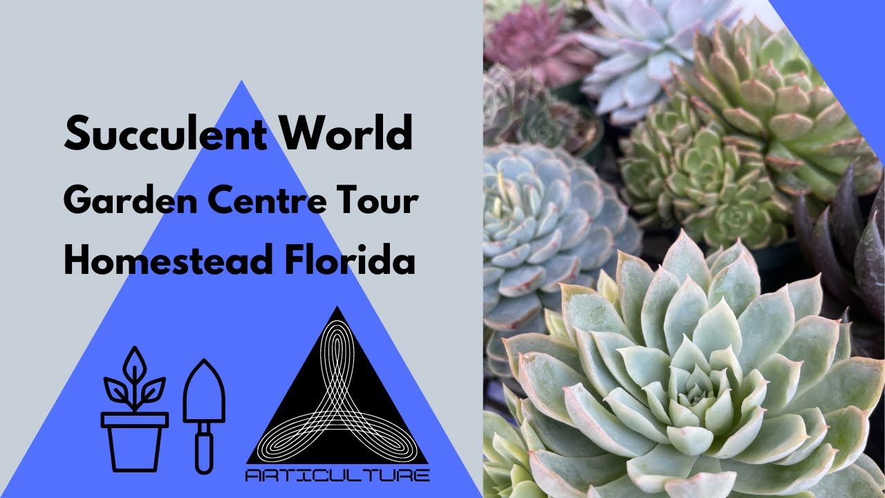 Succulent World Tour
