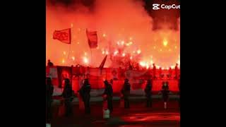 Zvezda Partizan Edit