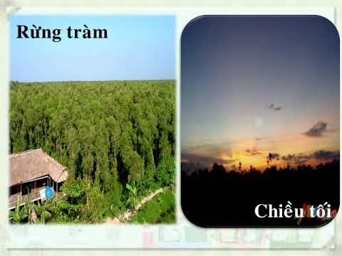 Lớp 5 - Tuần 2 - Tập làm văn - Bài: Luyện tập tả cảnh