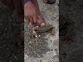 Crab hunt #fishing #fisherman #boat #fishinglife