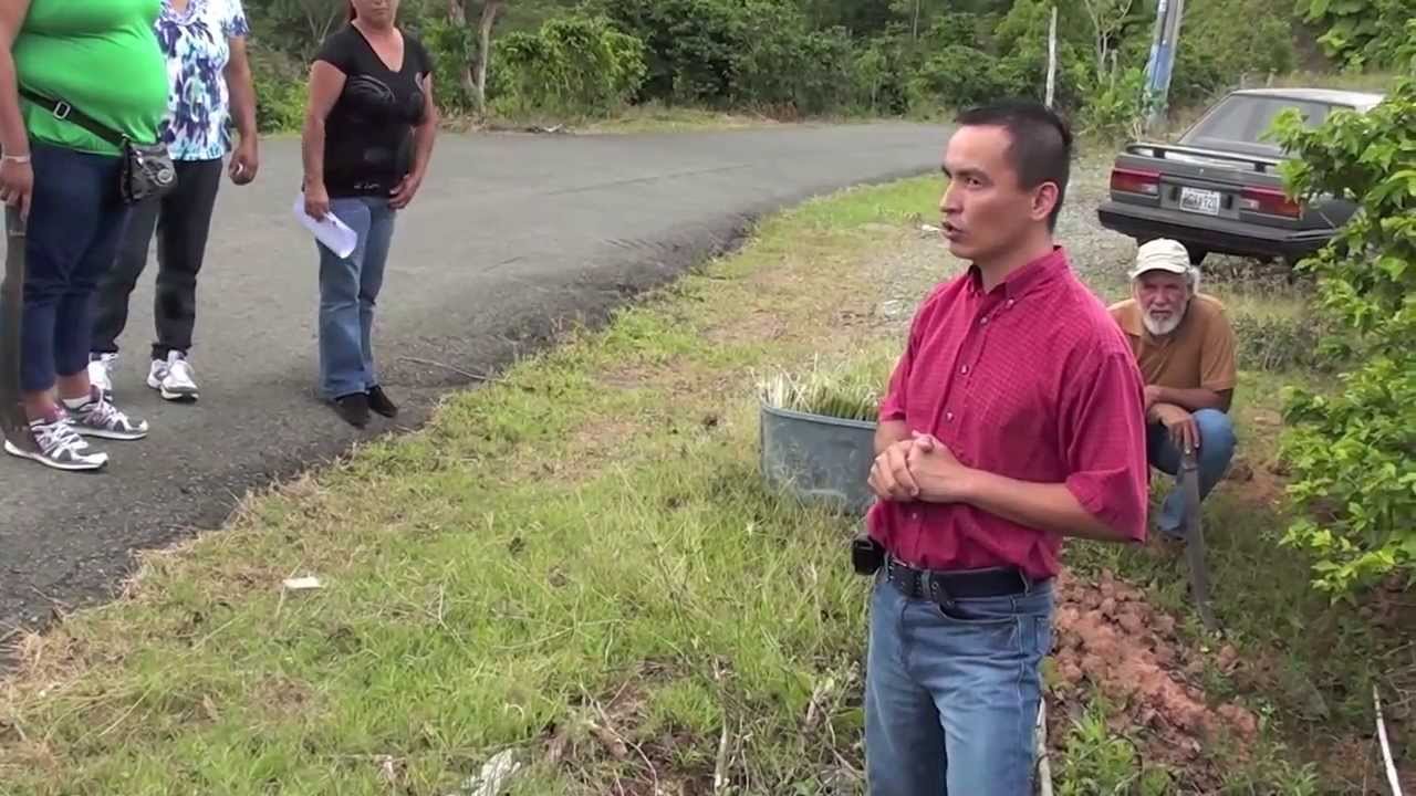 Barreras Vegetativas Parte II - Redireccion de agua