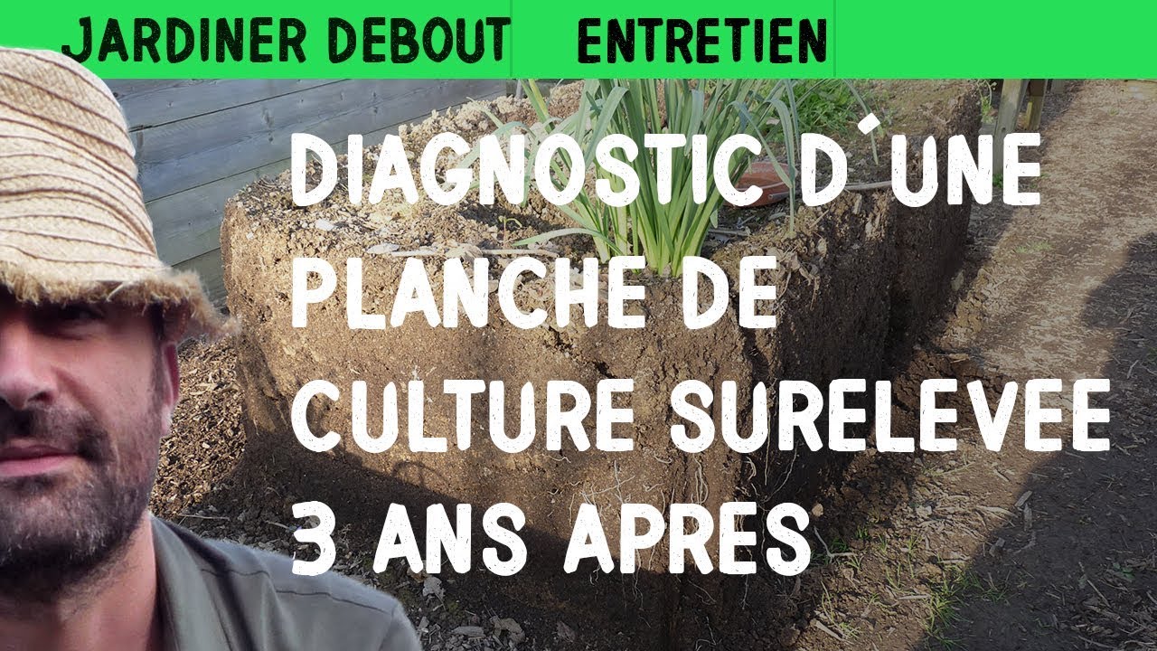 Ouverture d'un potager surélevé 3 ans après : état des lieux et analyse