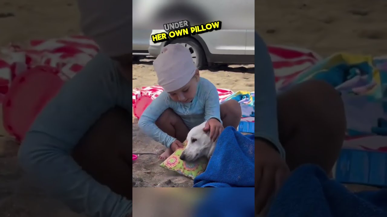 Kind Girl Takes Care Of Sleeping Dog 