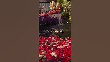 سورة النازعات 🌟 القارئ صلاح بوخاطر 🌙