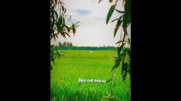 VÌ MƯU SINH ĐÀNH RỜI XA QUÊ