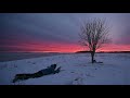 Early morning photoshoot in sweden  landscape and bird photography