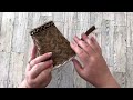 Beginning of video