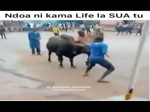 MWAISA MTU MBADI