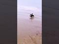 Un week-end qui m'a coûté cher mais qui m'a rempli le cœur #plage #equitation #cheval