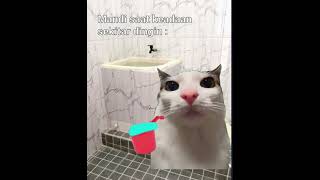 kuk jerukk pok jerukk😘