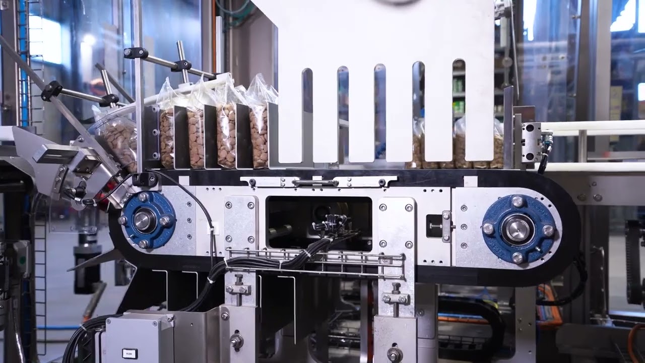 Wrap around case packer for both vertical and horizontal bags | Aurora Process Solutions