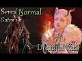 [Lost Ark] 1710 Dreadful Roar GK Serca Normal (Gates 1-2)