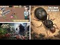 I played the top 5 ants games