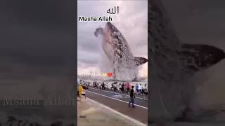 #fish #fish#viralvideo #saqibrazabayan janam frday #Islamic stories in Urdu in #fishstory#worldfish