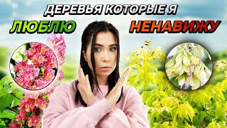 💥🌳10 НЕПРИХОТЛИВЫХ ДЕРЕВЬЕВ для озеленения участка