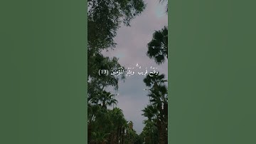 راحة نفسية 🖤 حالات واتس اب قرآن كريم/بصوت أحمد خضر 🖤 حالات واتس اب دينية 🖤🌿🌿