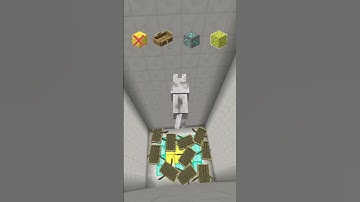 Which Block Saves Wolf? #minecraft