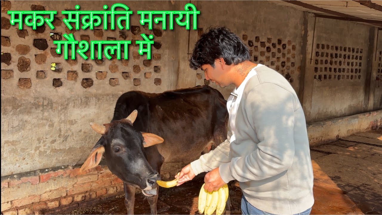 वृंदावन