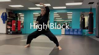 Tang Soo Do Low Block, High Block, Center Punch
